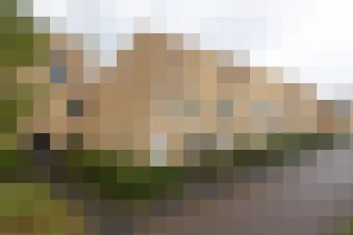 Logo Woonhub Makelaars Haarlem