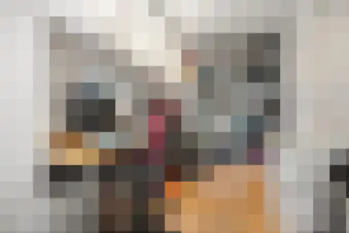 Screenshot of the website of www.woonhuis.nl