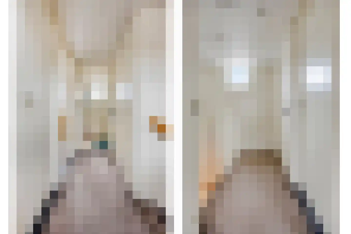 Woonkreek 1 Spijkenisse thumbnail 10