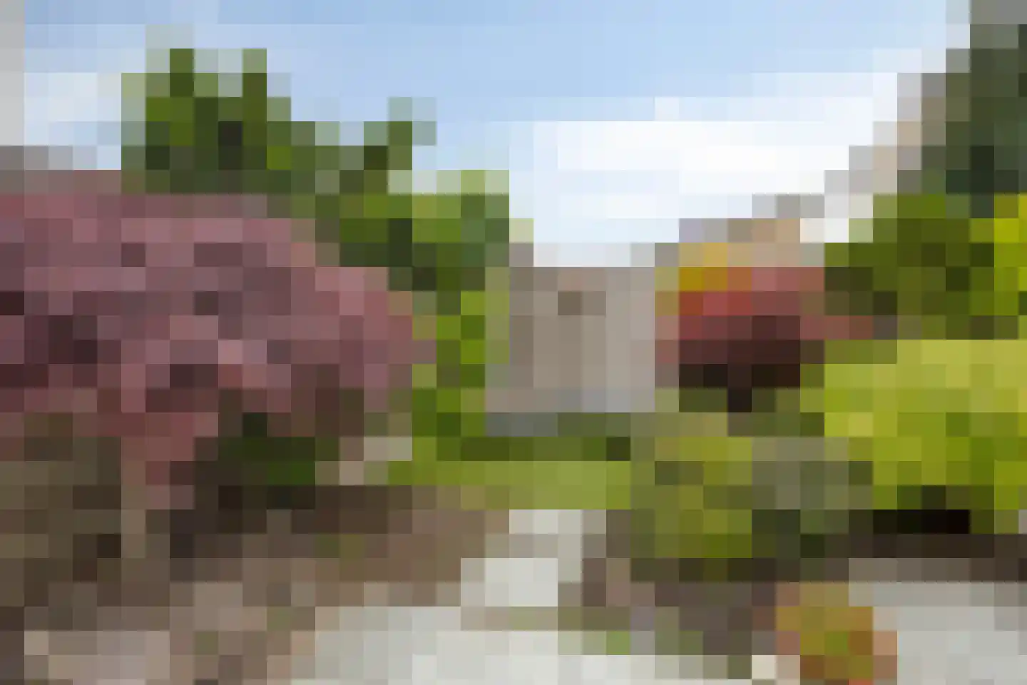Woonkreek 1 Spijkenisse thumbnail 17