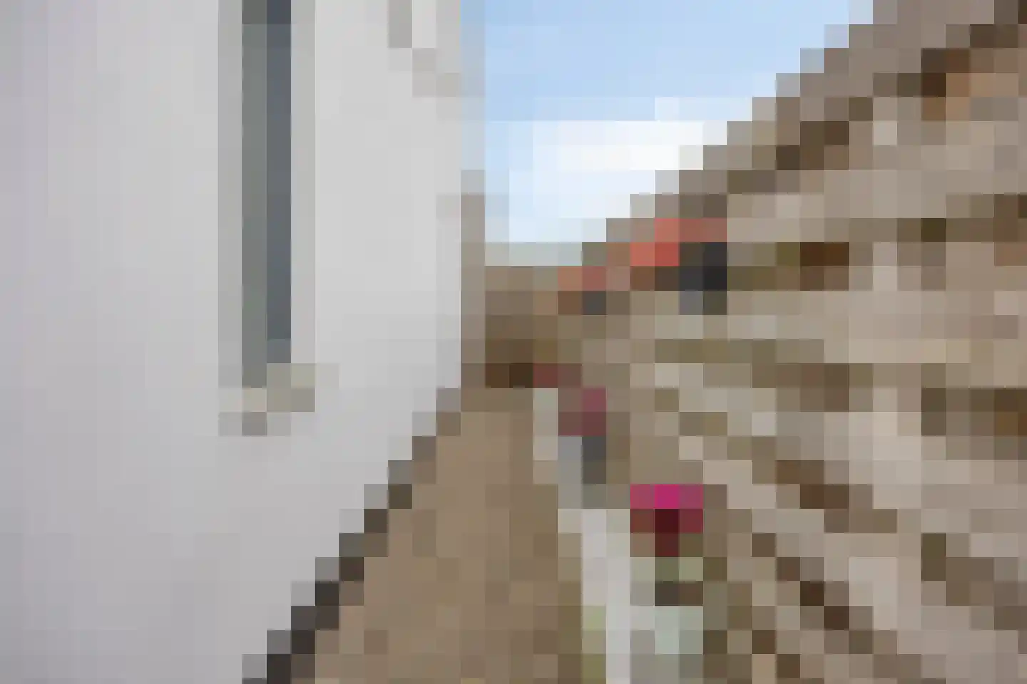 Woonkreek 1 Spijkenisse thumbnail 19