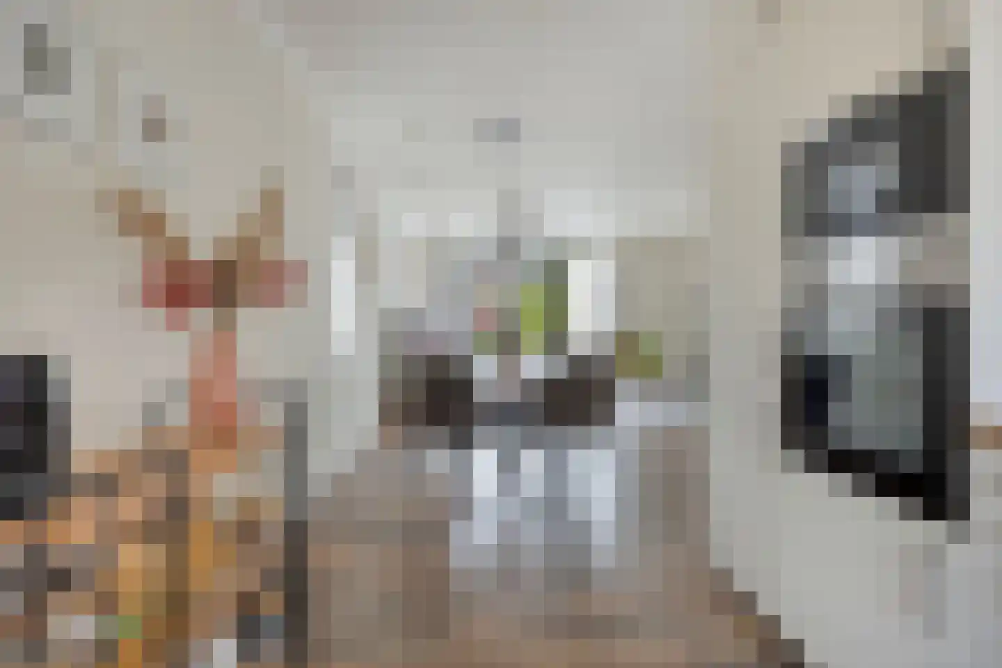 Woonkreek 1 Spijkenisse thumbnail 9