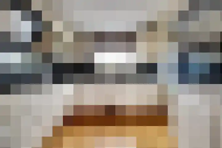Woonkreek 15 Spijkenisse thumbnail 10