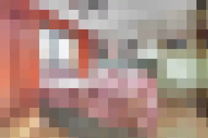 Woonkreek 15 Spijkenisse thumbnail 13