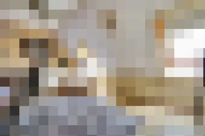 Woonkreek 15 Spijkenisse thumbnail 15