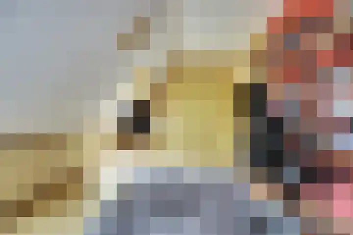 Woonkreek 15 Spijkenisse thumbnail 16