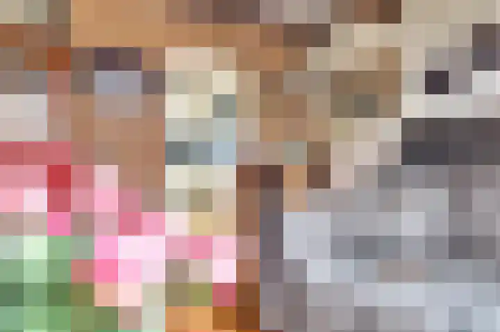 Woonkreek 15 Spijkenisse thumbnail 7