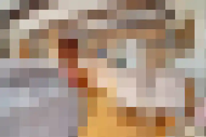 Woonkreek 15 Spijkenisse thumbnail 8