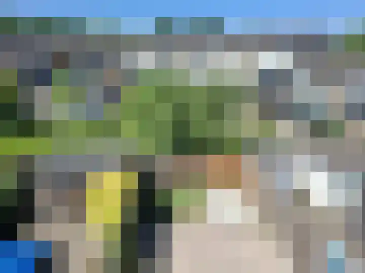 Woonkreek 18 Spijkenisse thumbnail 13