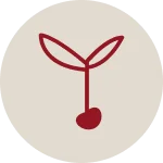 Logo van WoonPIT | Makelaardij en (t)huisadvies