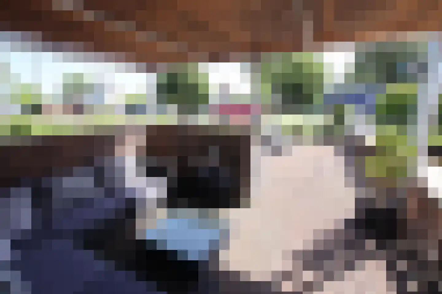 Woonschepenhaven 19 Groningen thumbnail 10