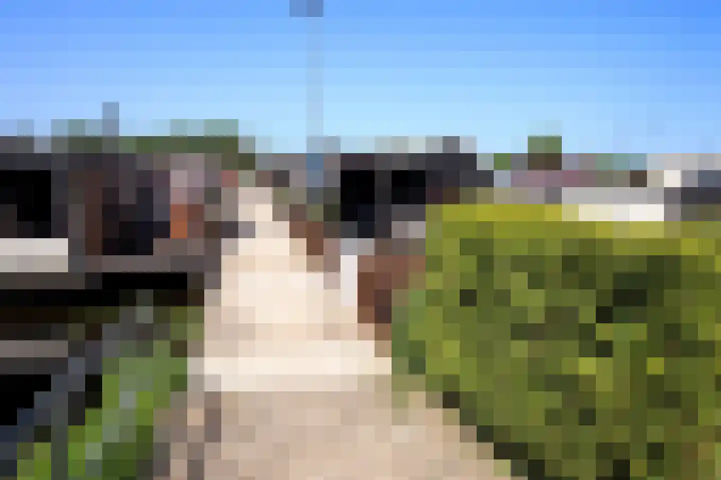 Woonschepenhaven 19 Groningen thumbnail 11