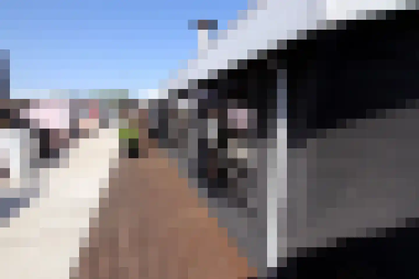 Woonschepenhaven 19 Groningen thumbnail 12