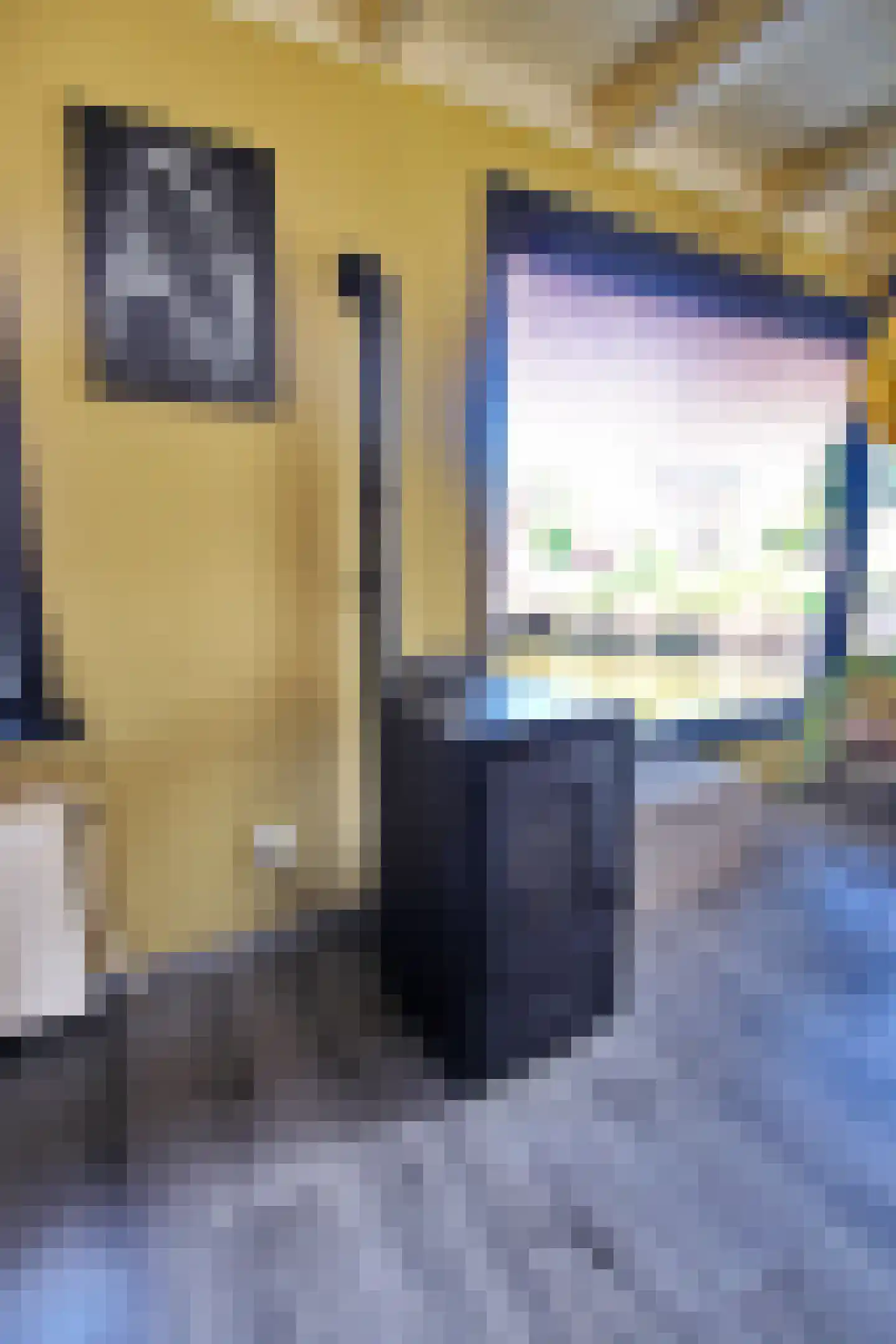 Woonschepenhaven 19 Groningen thumbnail 20