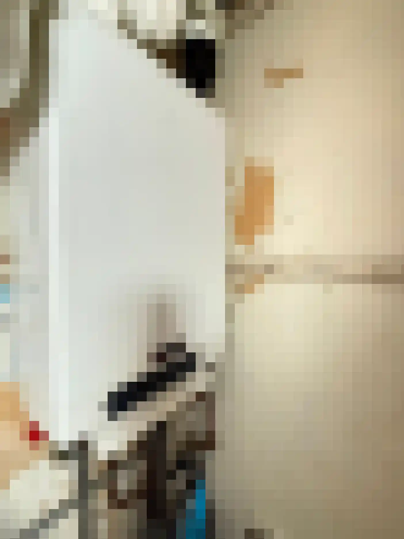 Woonschepenhaven 19 Groningen thumbnail 32