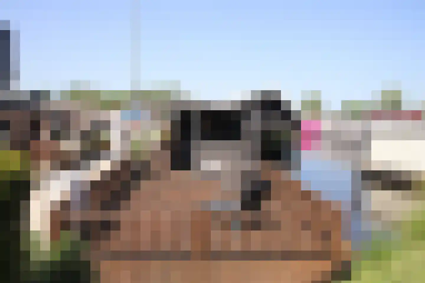 Woonschepenhaven 19 Groningen thumbnail 6