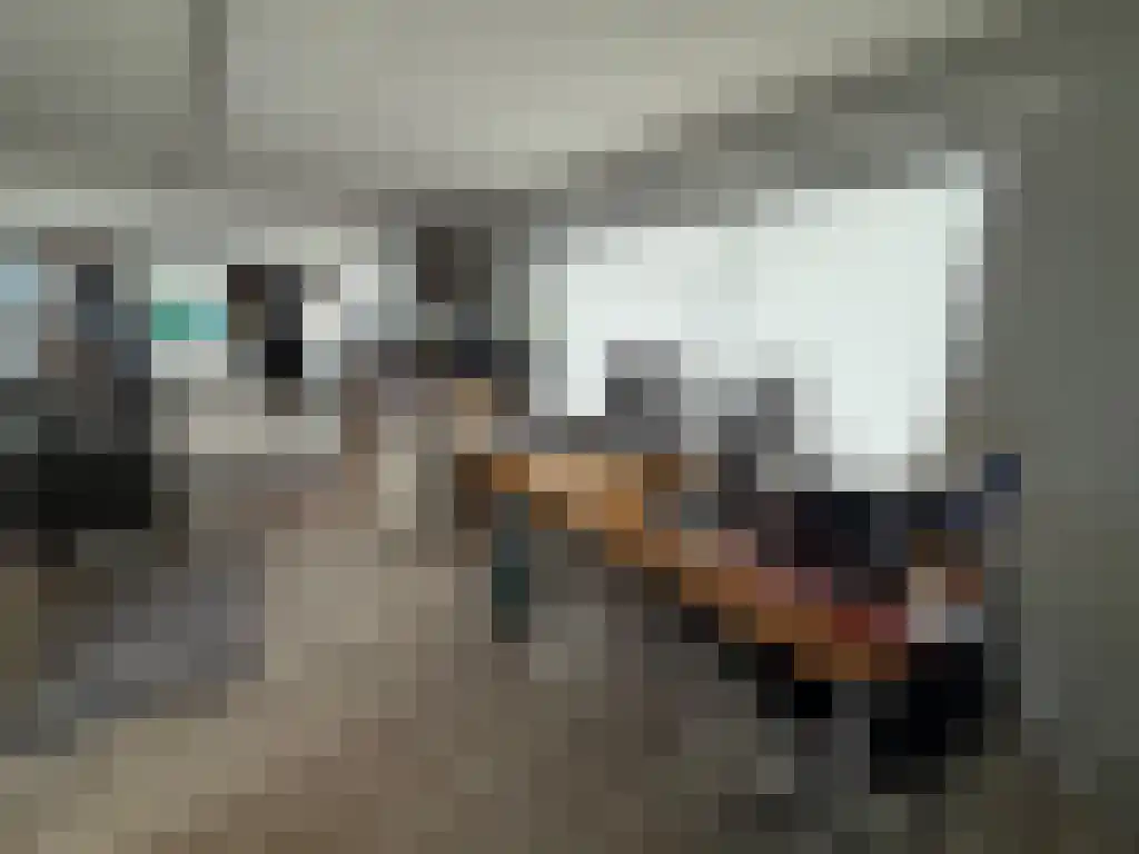 Woonschepenhaven 66 Groningen thumbnail 4