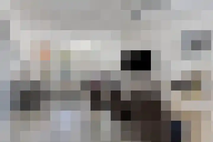 Woordlaan 1 Peize thumbnail 18