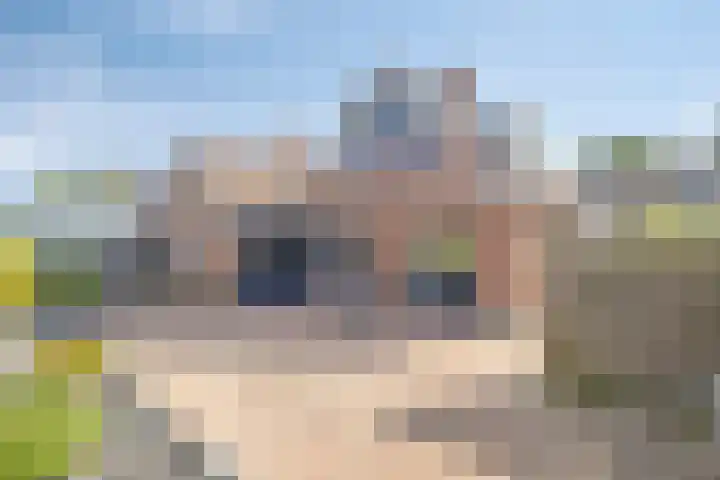 Woordlaan 1 Peize thumbnail 36