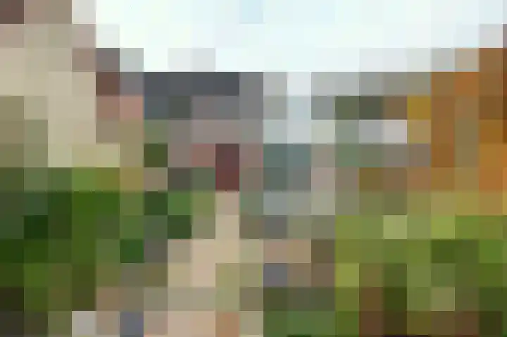 Woortmansdijk 14 Westerbroek thumbnail 10