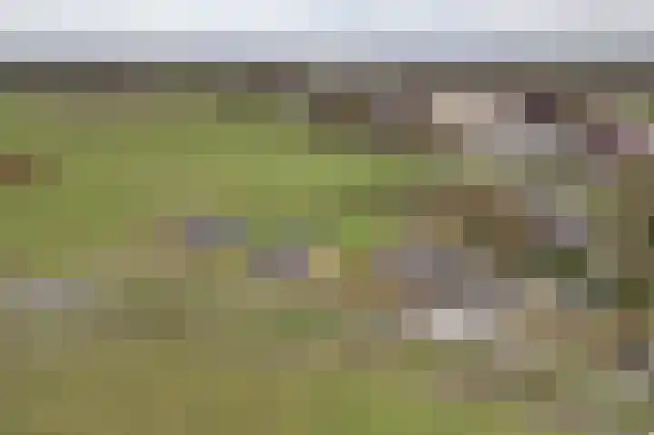 Woortmansdijk 14 Westerbroek thumbnail 4