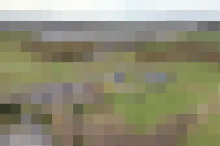 Woortmansdijk 14 Westerbroek thumbnail 7
