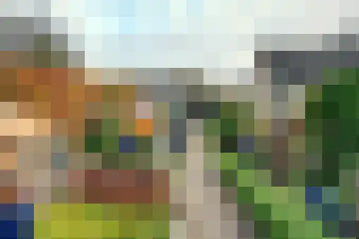 Woortmansdijk 14 Westerbroek thumbnail 8
