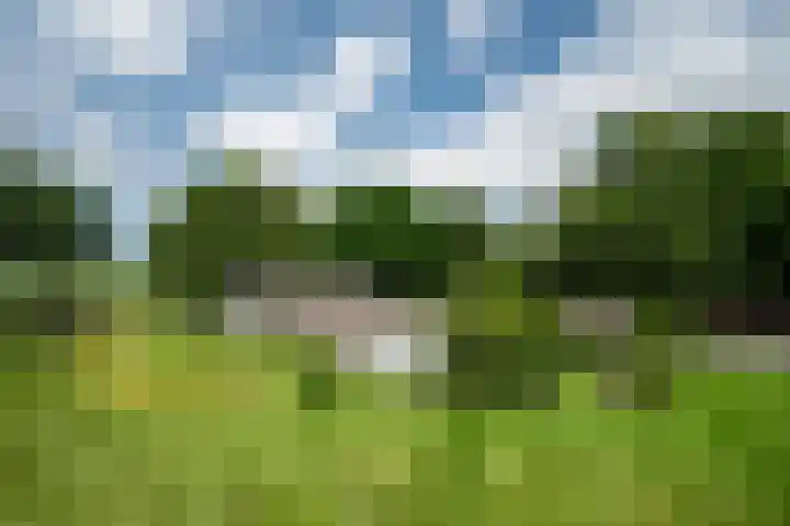 Woortmansdijk 22 Westerbroek thumbnail 39