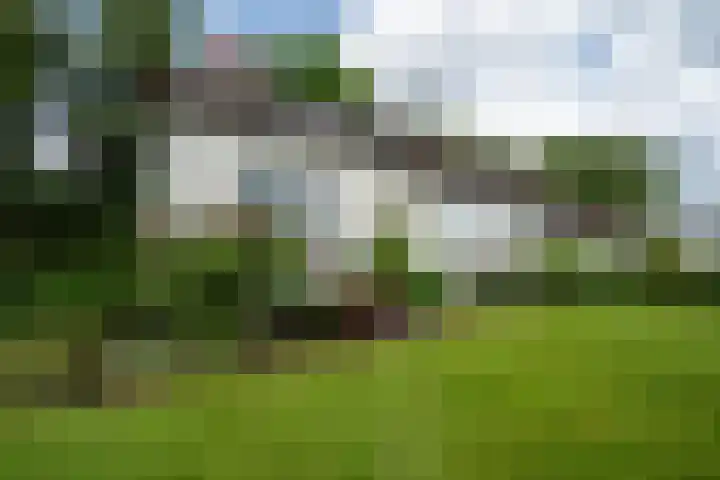 Woortmansdijk 22 Westerbroek thumbnail 40