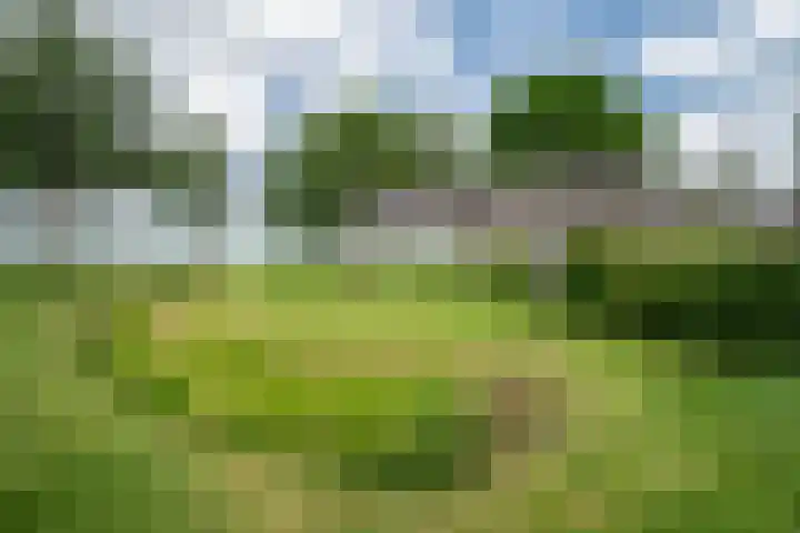 Woortmansdijk 22 Westerbroek thumbnail 41
