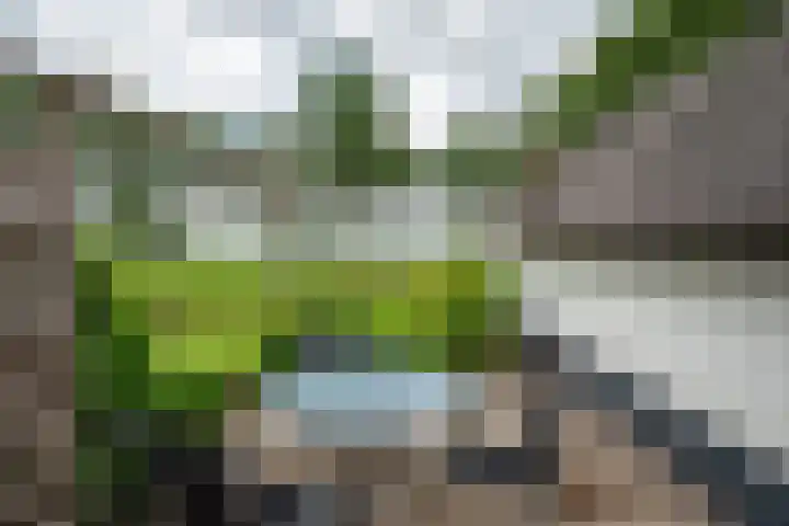Woortmansdijk 22 Westerbroek thumbnail 43