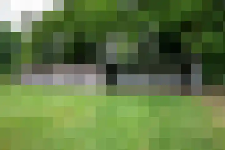 Woortmansdijk 22 Westerbroek thumbnail 47