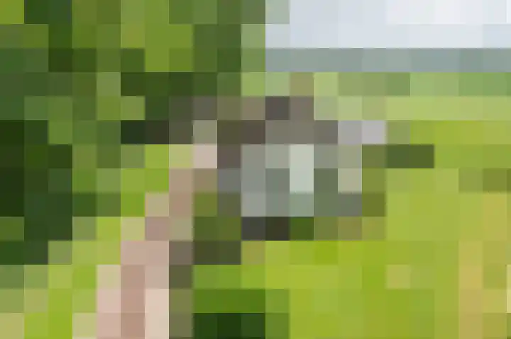 Woortmansdijk 22 Westerbroek thumbnail 6