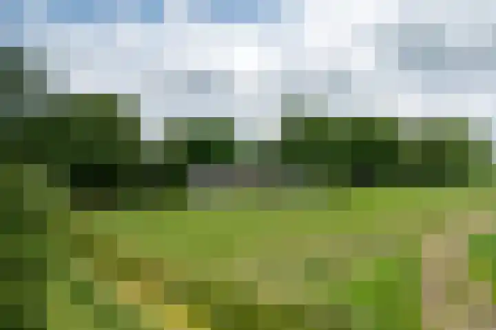 Woortmansdijk 22 Westerbroek thumbnail 7