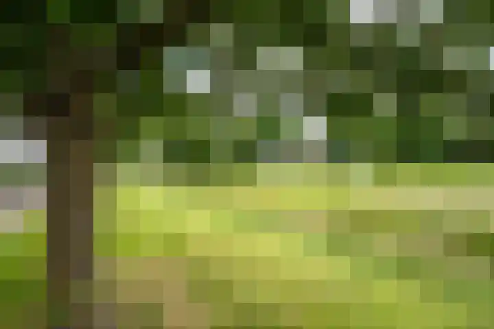 Woortmansdijk 22 Westerbroek thumbnail 8