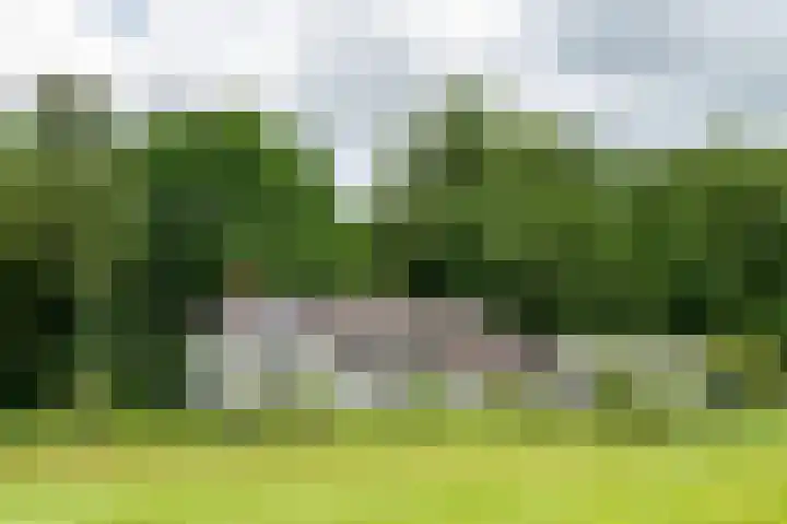 Woortmansdijk 22 Westerbroek thumbnail 9