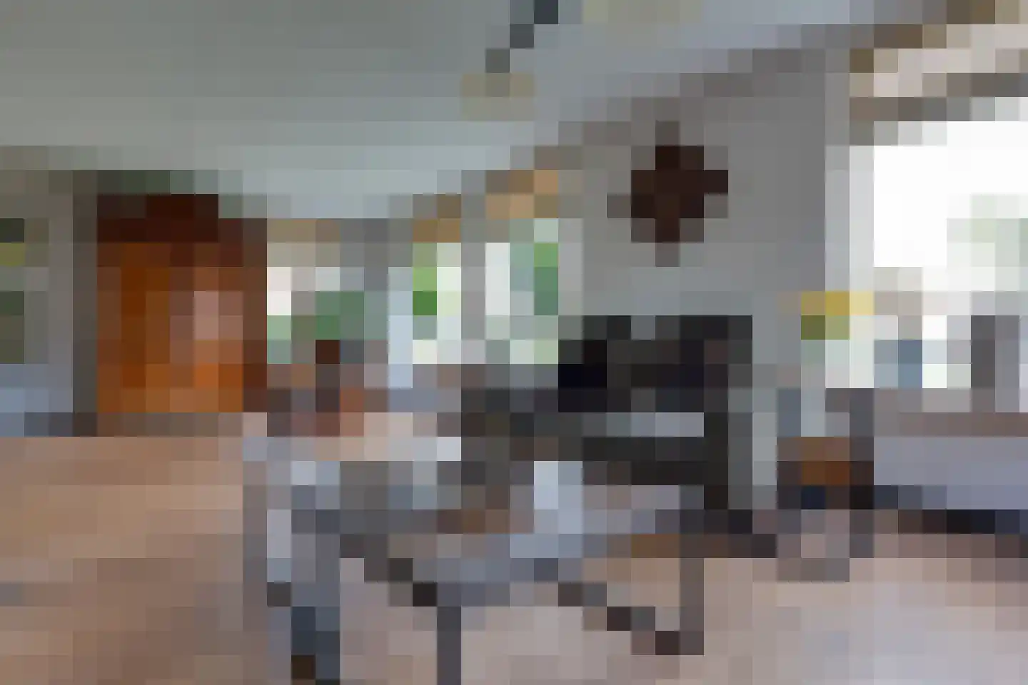 Wopkeloane 2 Harkema thumbnail 11