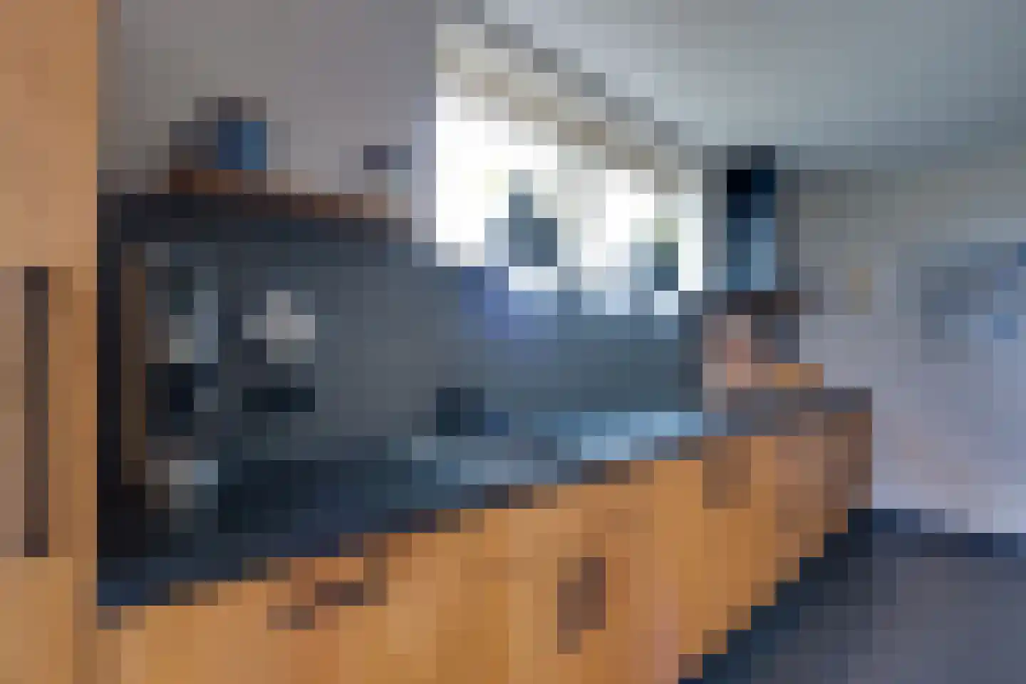 Wopkeloane 2 Harkema thumbnail 18