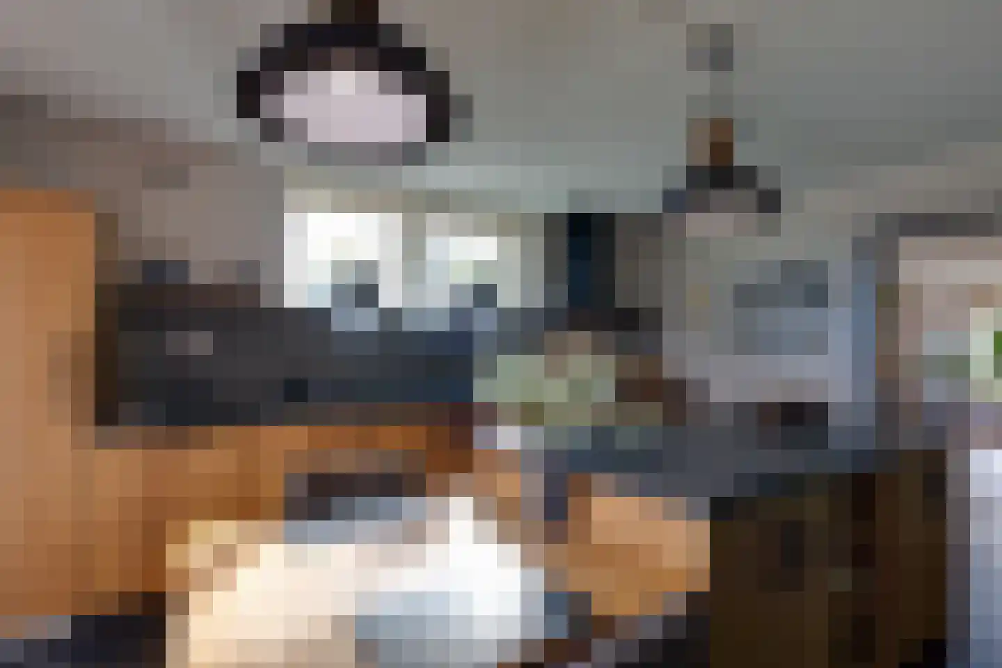 Wopkeloane 2 Harkema thumbnail 19