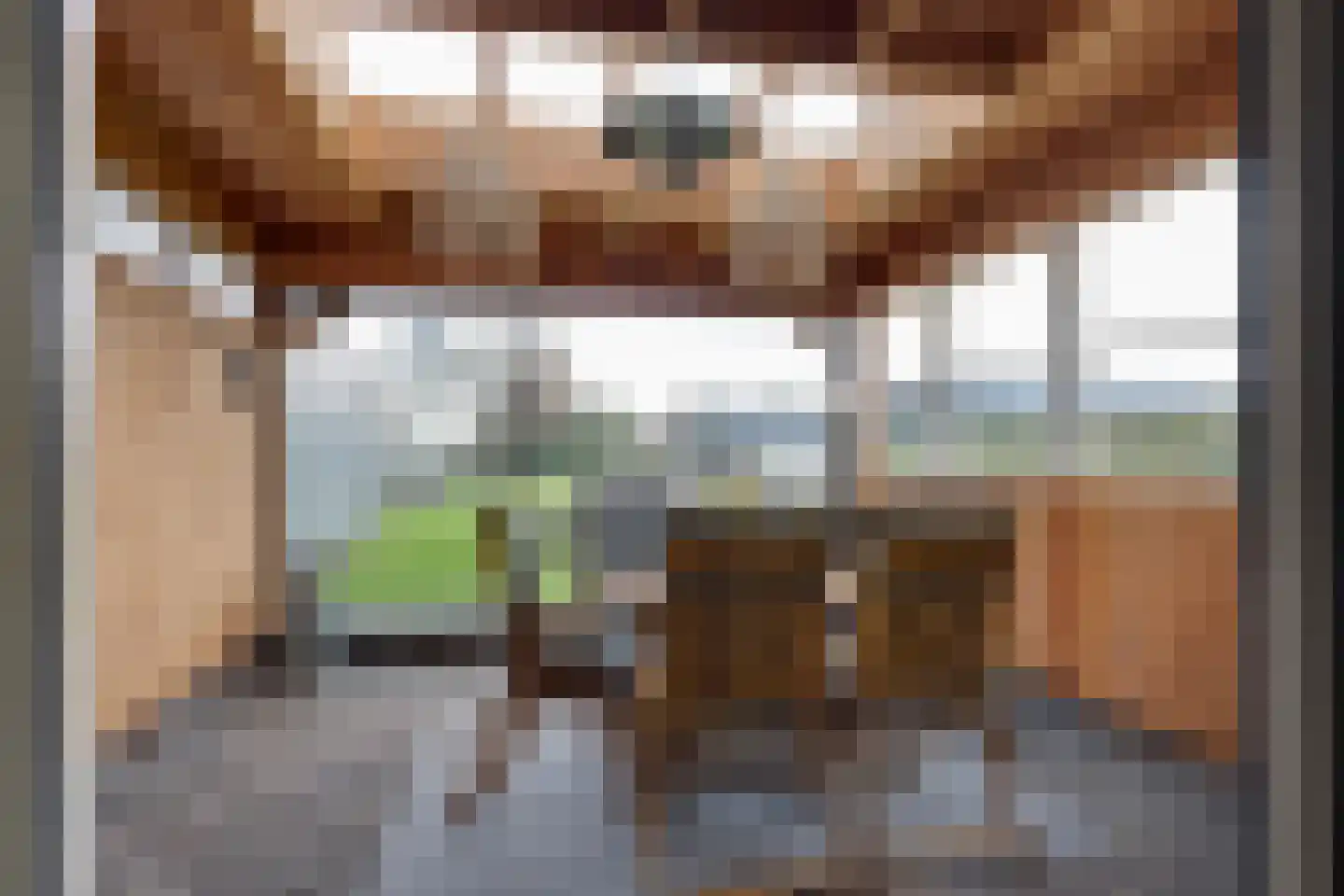 Wopkeloane 2 Harkema thumbnail 22