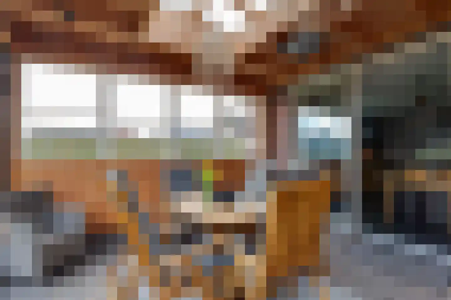 Wopkeloane 2 Harkema thumbnail 24