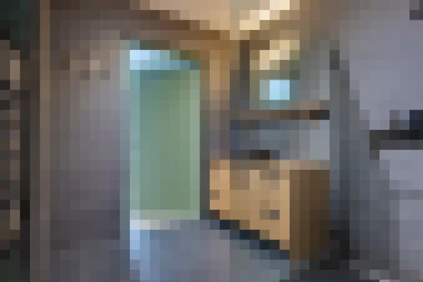 Wopkeloane 2 Harkema thumbnail 27