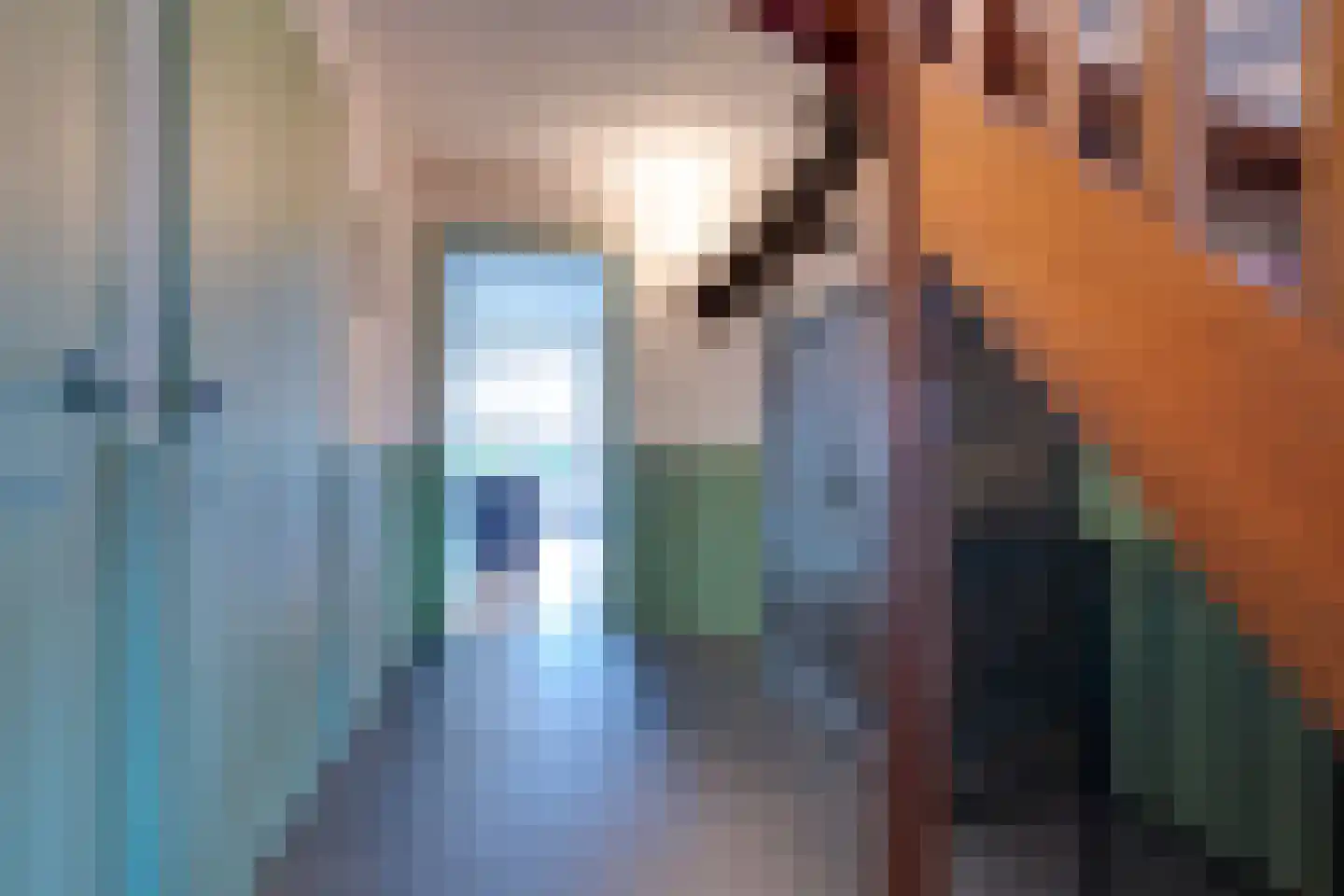 Wopkeloane 2 Harkema thumbnail 29