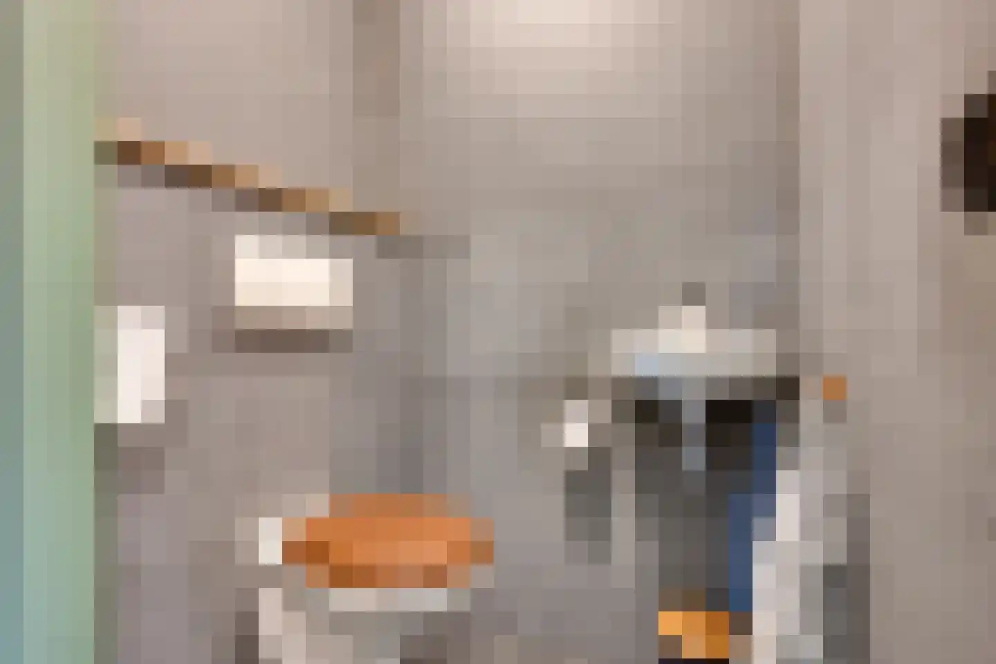 Wopkeloane 2 Harkema thumbnail 30