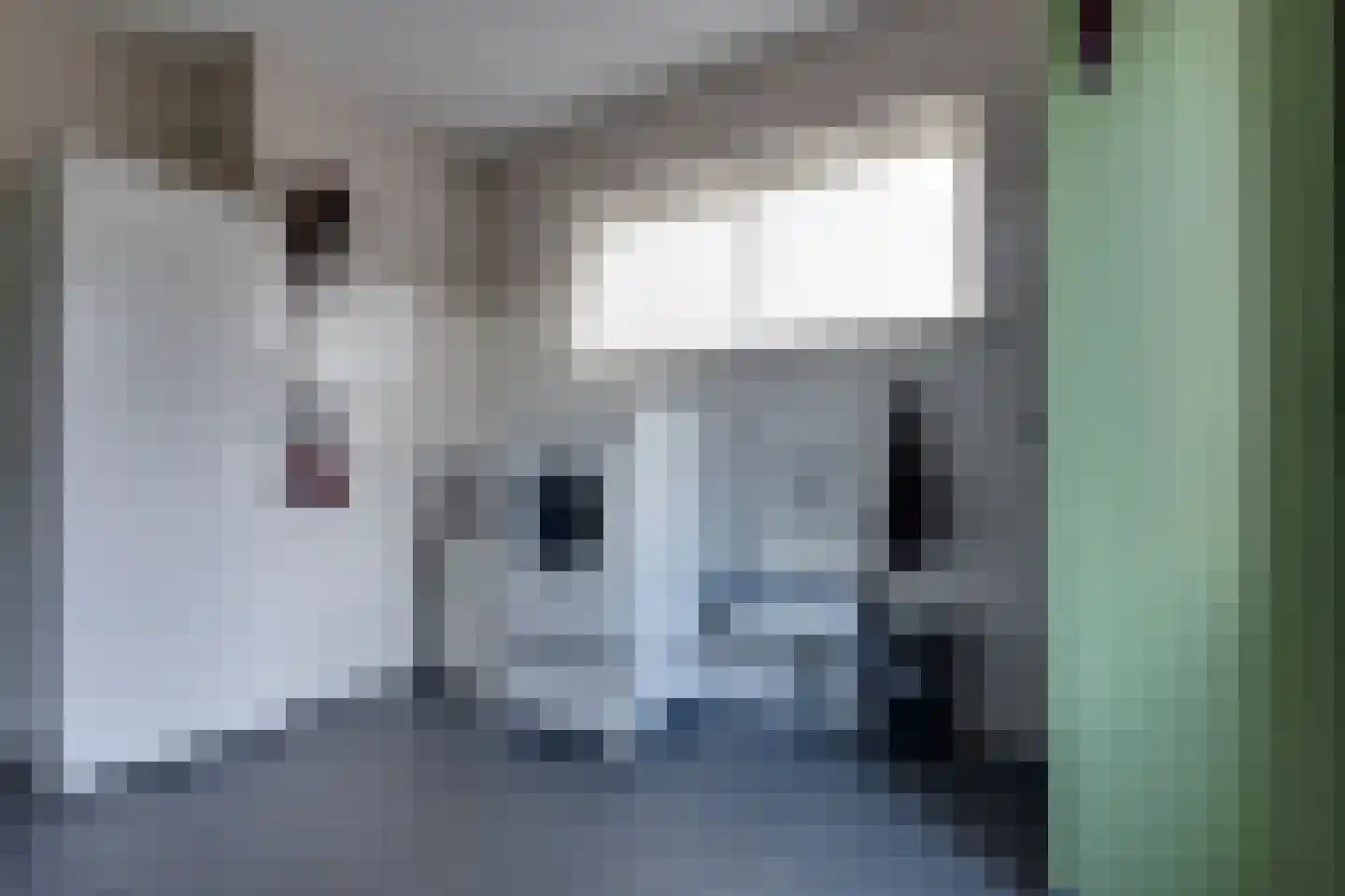 Wopkeloane 2 Harkema thumbnail 31