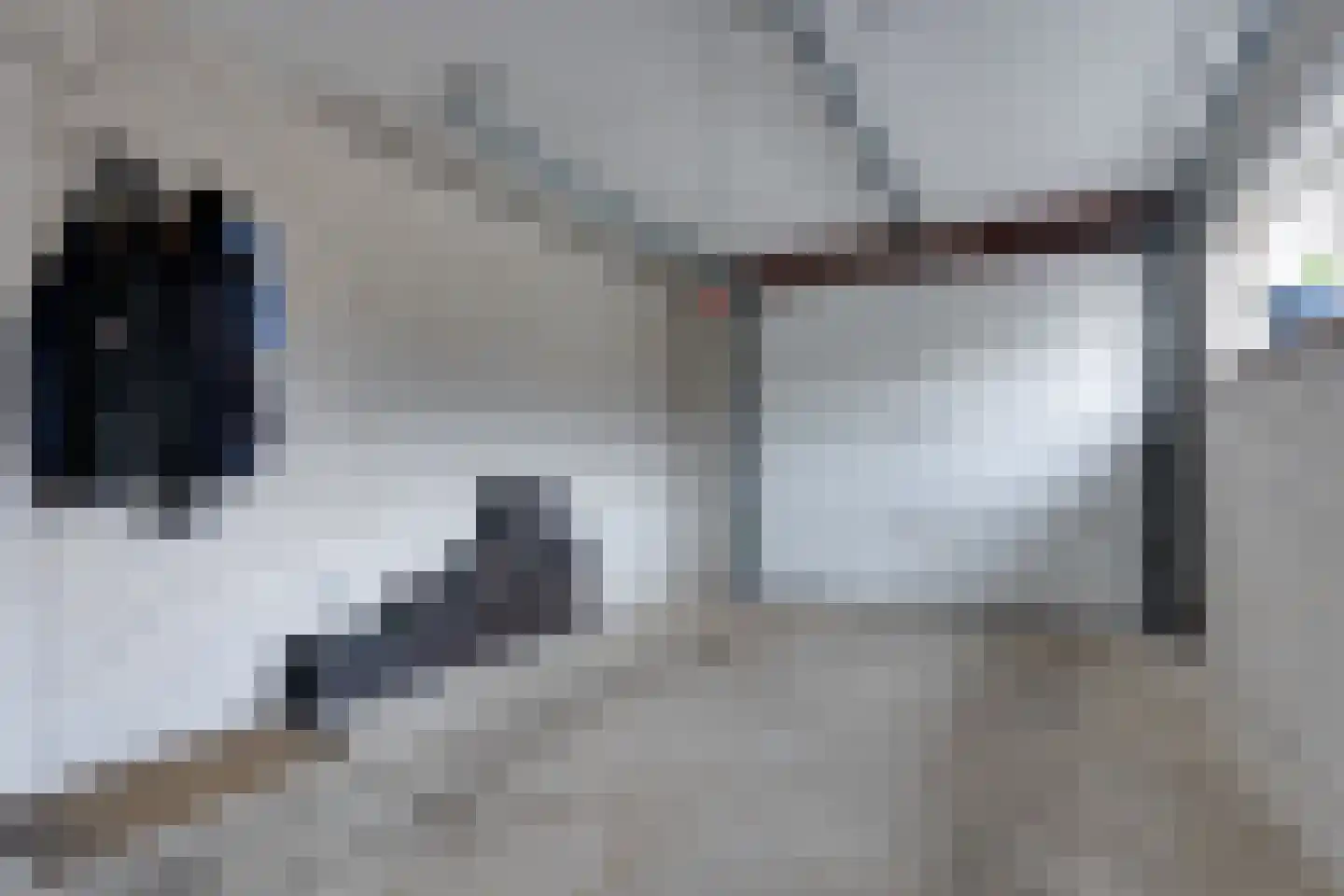 Wopkeloane 2 Harkema thumbnail 32