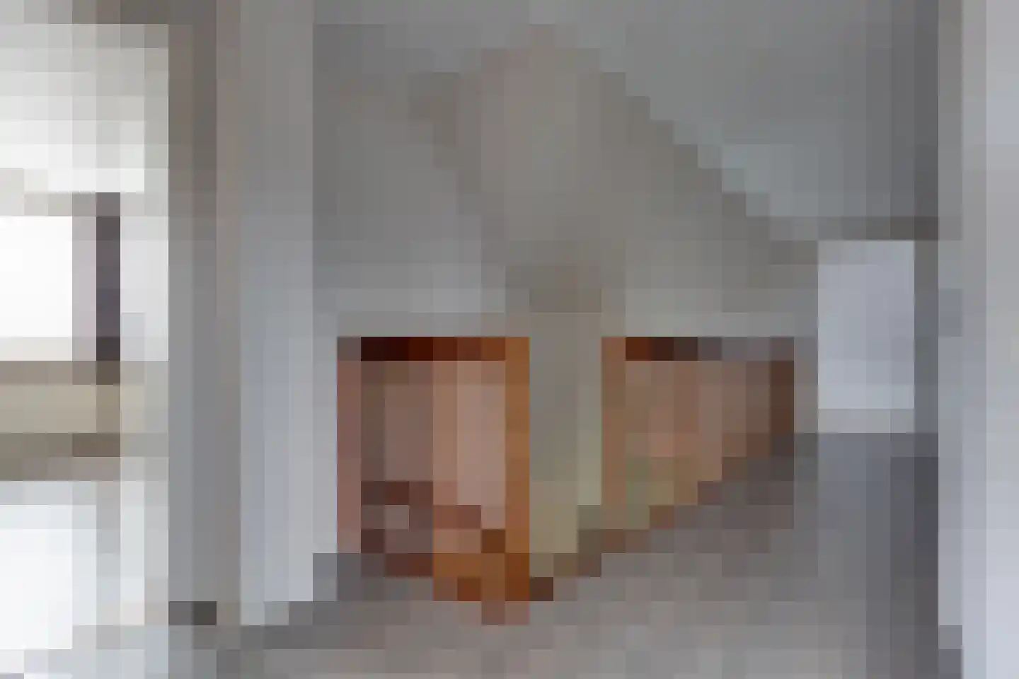Wopkeloane 2 Harkema thumbnail 35