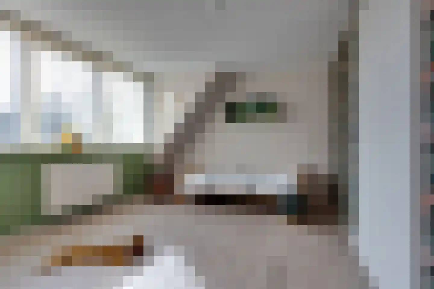 Wopkeloane 2 Harkema thumbnail 41