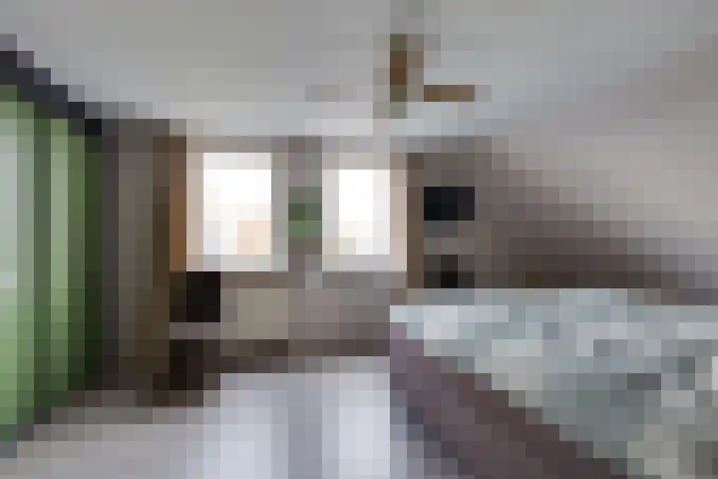 Wopkeloane 2 Harkema thumbnail 43