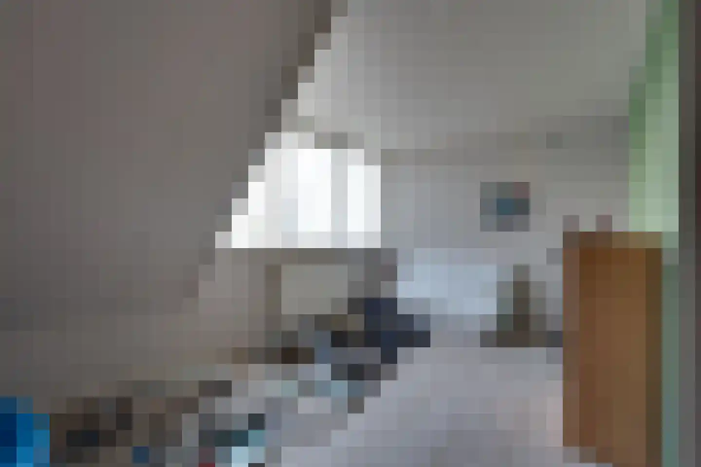 Wopkeloane 2 Harkema thumbnail 47